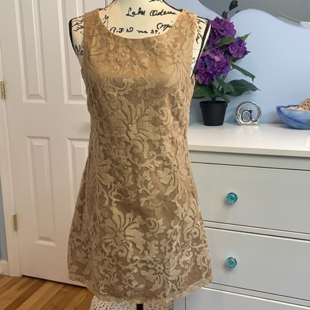 Lucy Paris Sleeveless Lace Shift Dress NWT